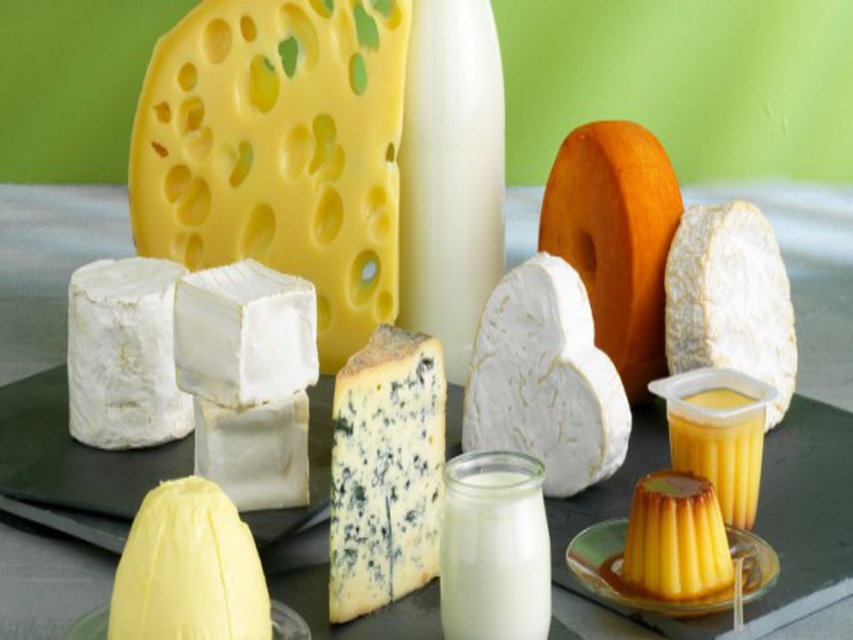 Industrie du fromage et des produits laitiers